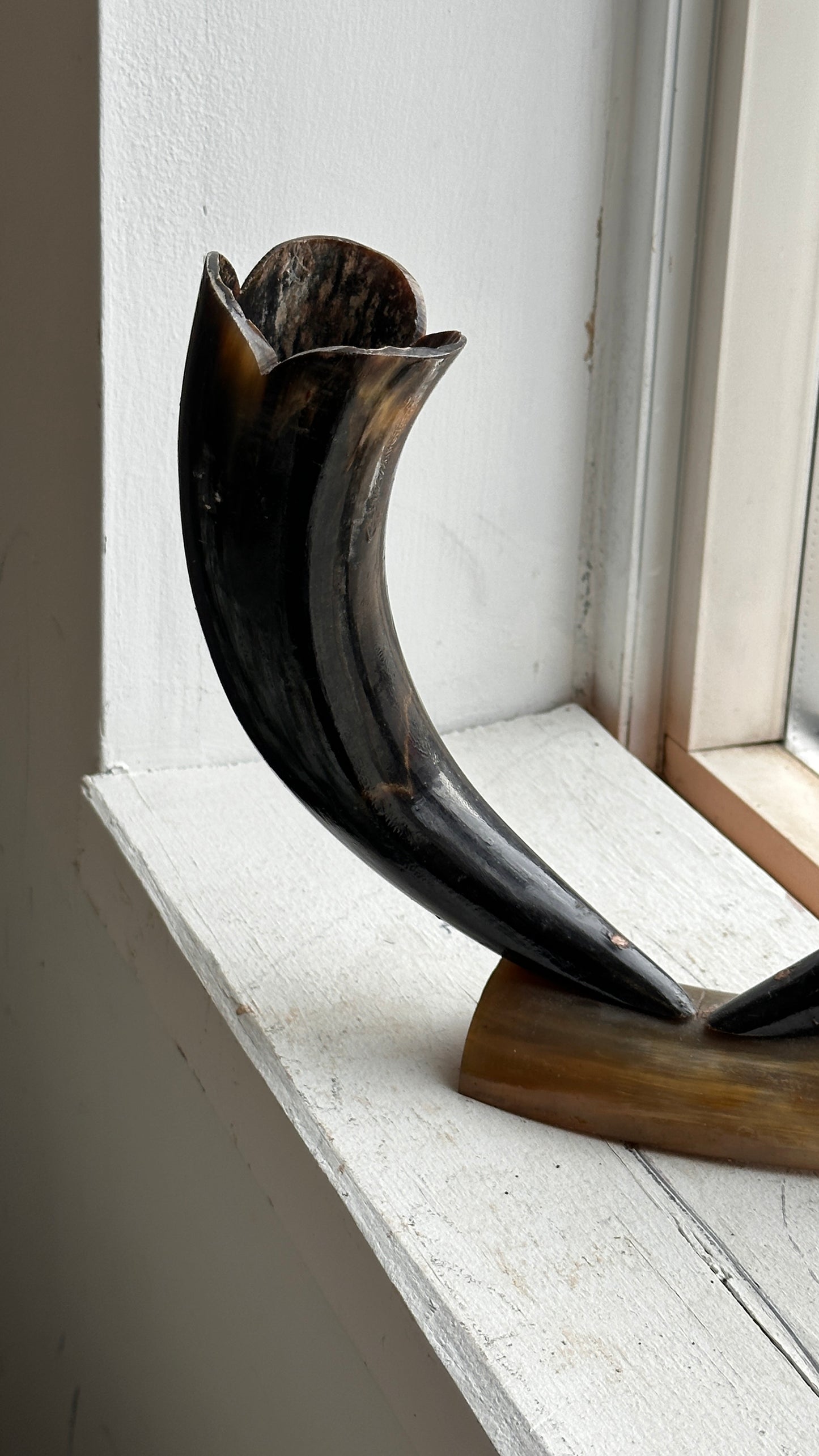 Vintage Horn Sculpture / Vase