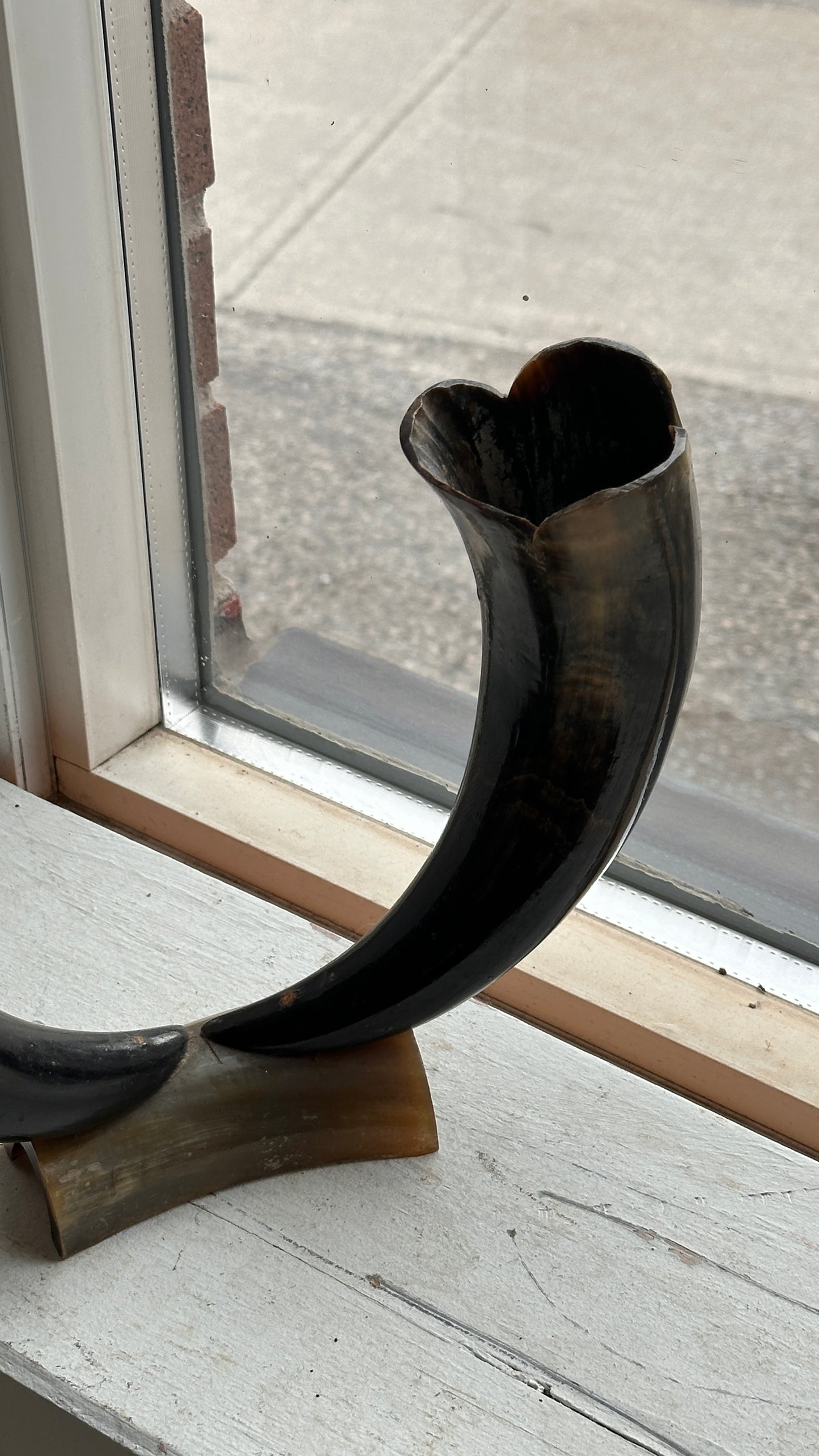 Vintage Horn Sculpture / Vase