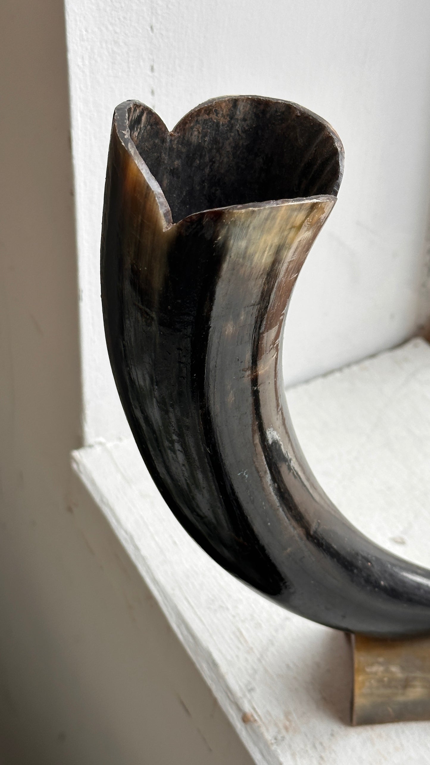 Vintage Horn Sculpture / Vase