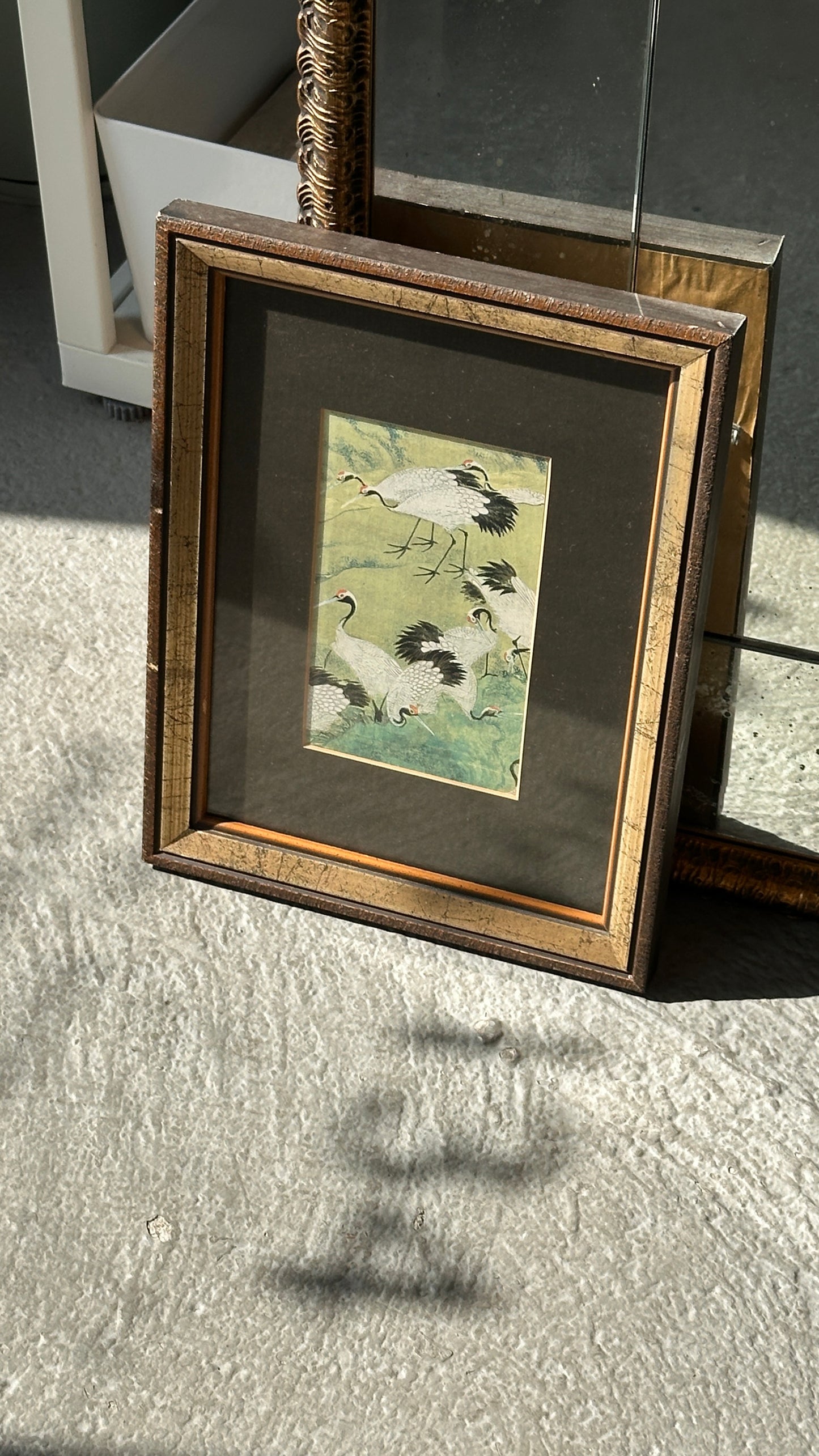 Framed Print of Cranes