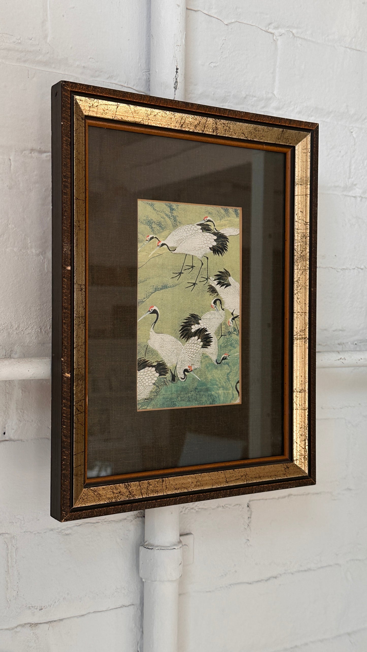 Framed Print of Cranes