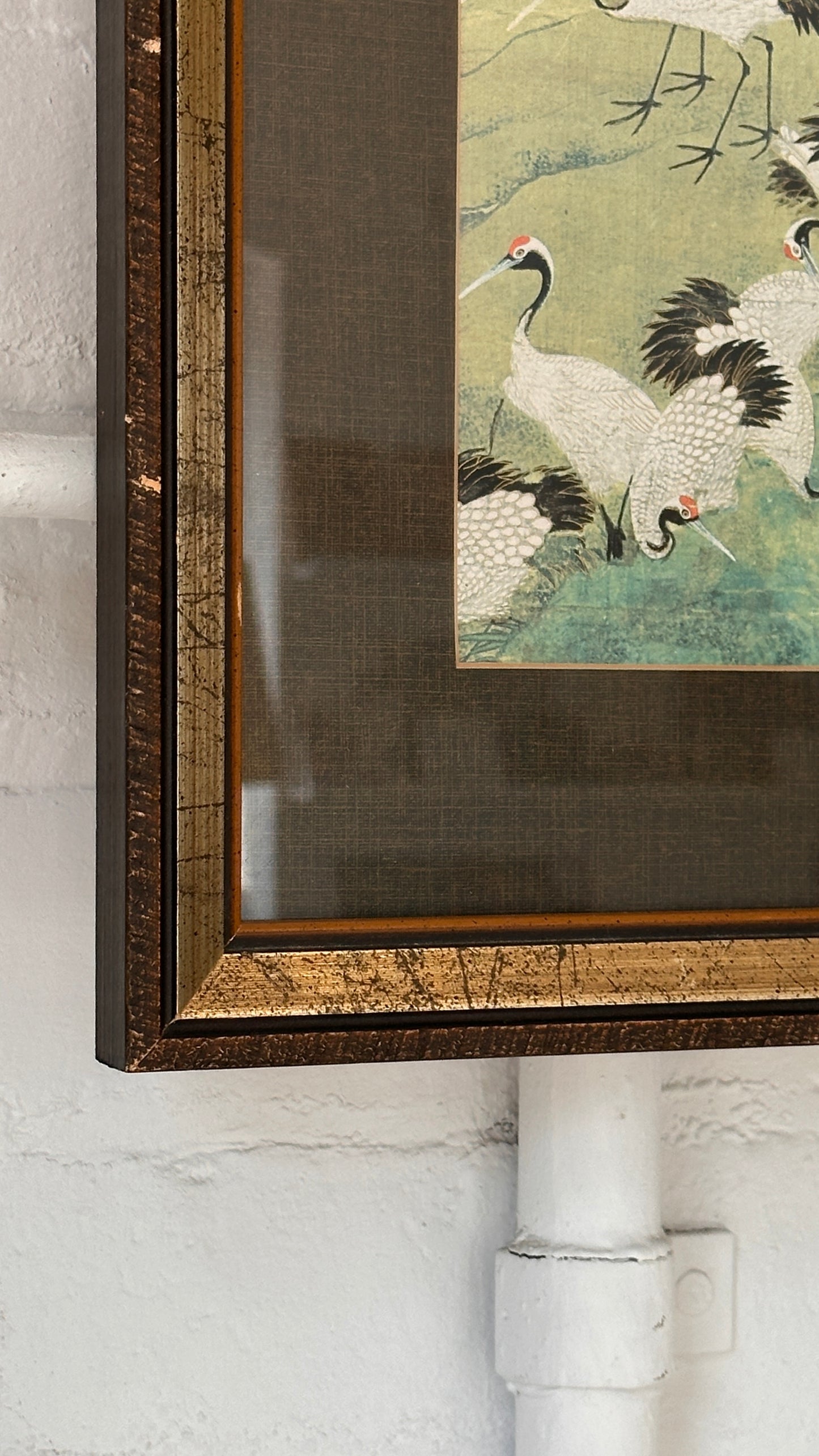 Framed Print of Cranes