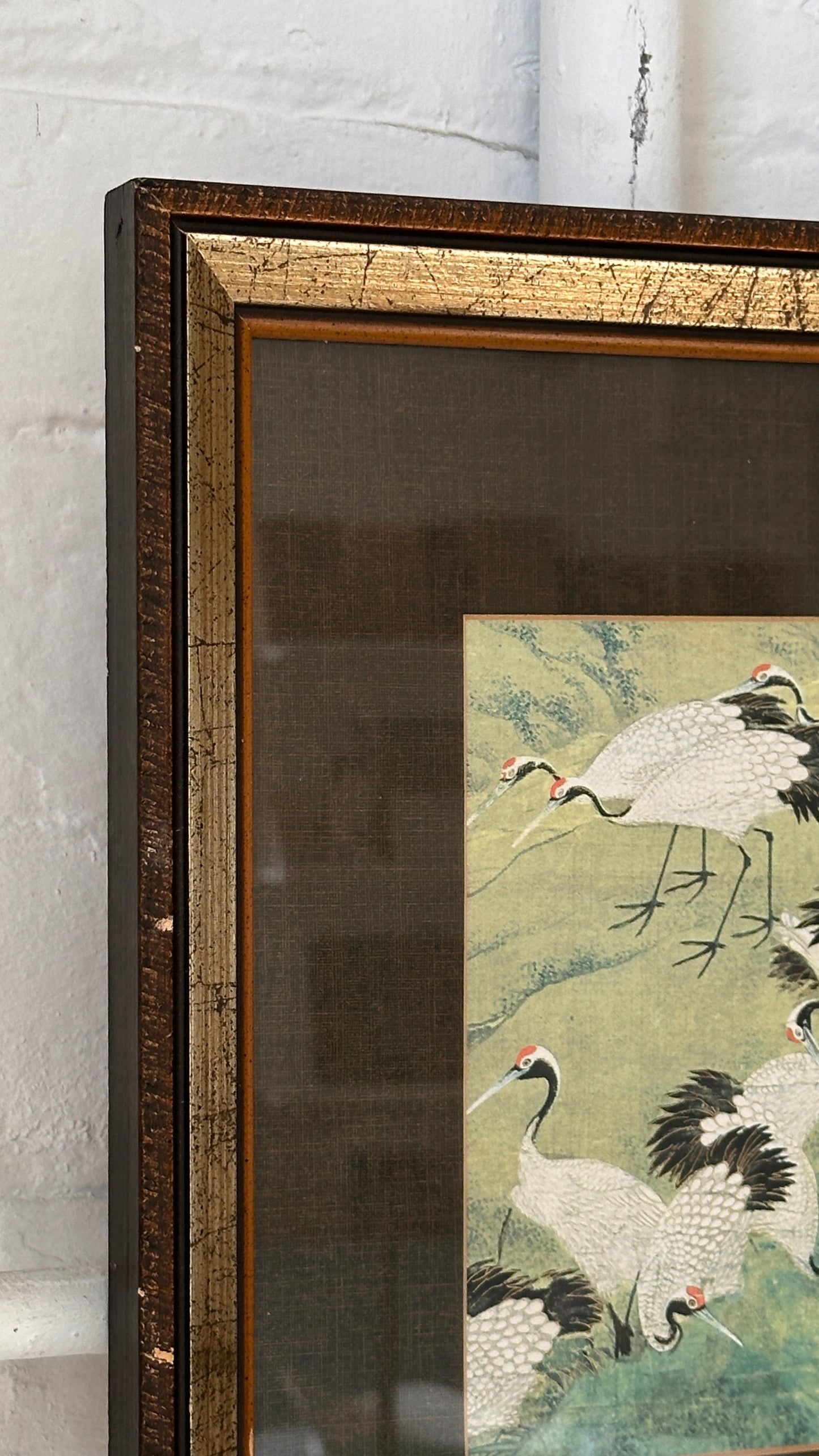 Framed Print of Cranes