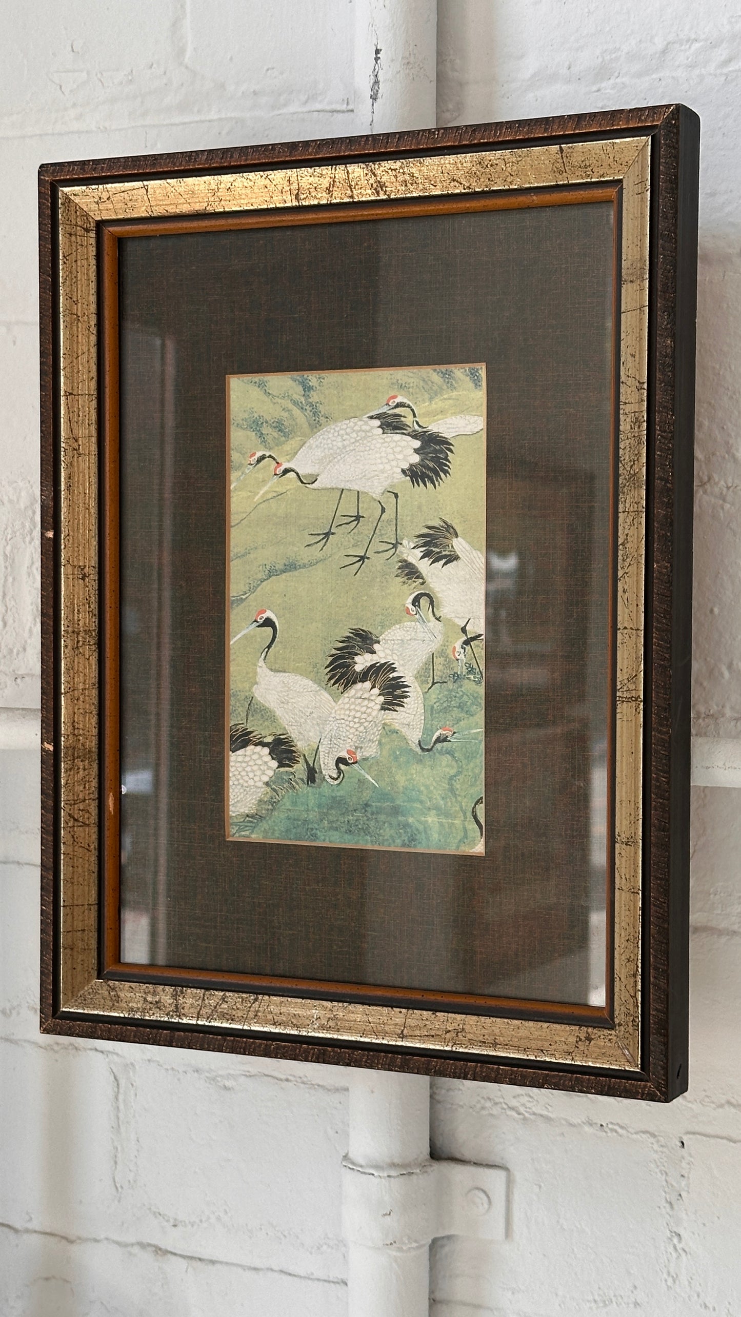 Framed Print of Cranes