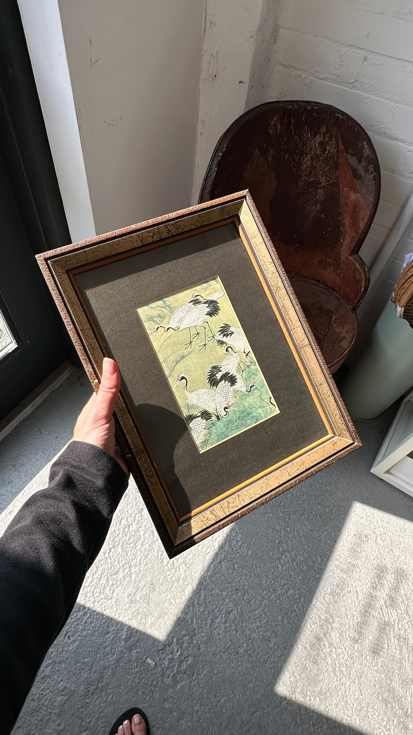 Framed Print of Cranes