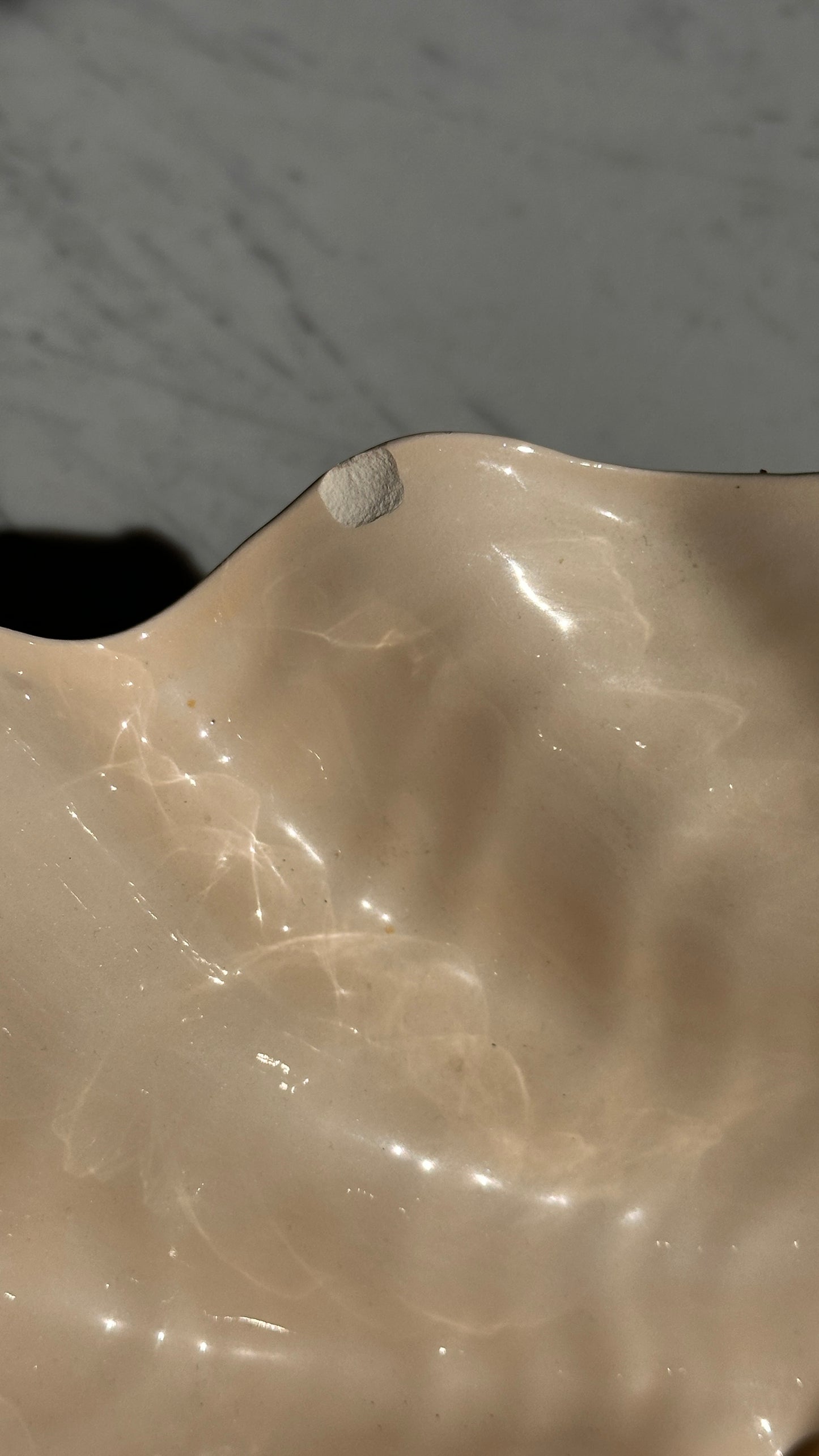 Large Ceramic Shell Bowl