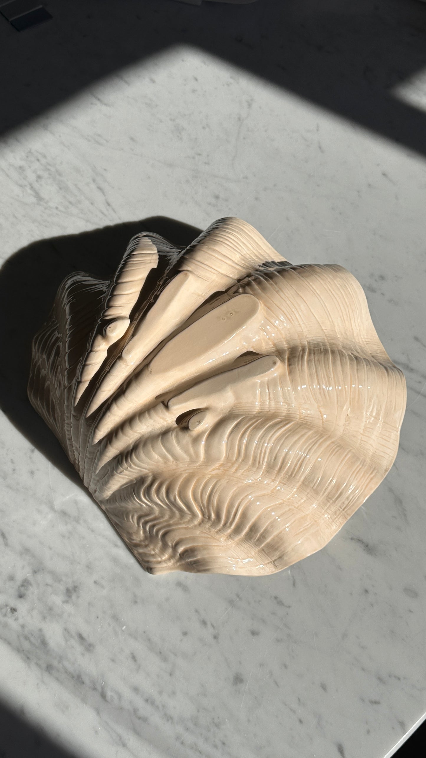 Large Ceramic Shell Bowl