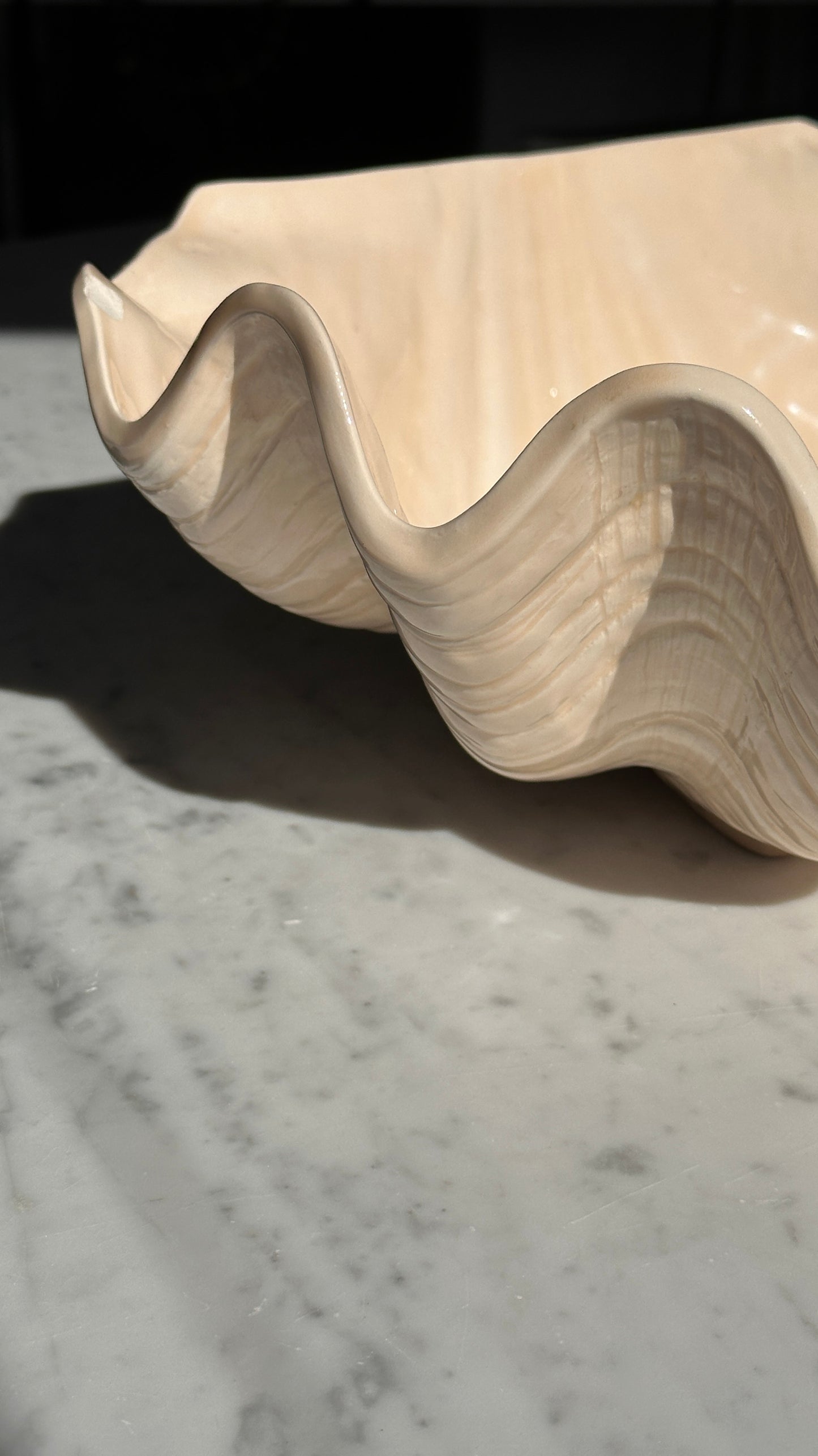 Large Ceramic Shell Bowl