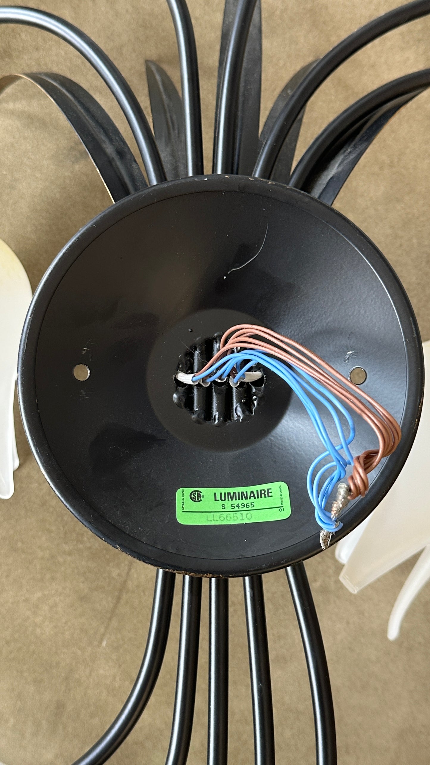 Contemporary Floral Wall Sconce