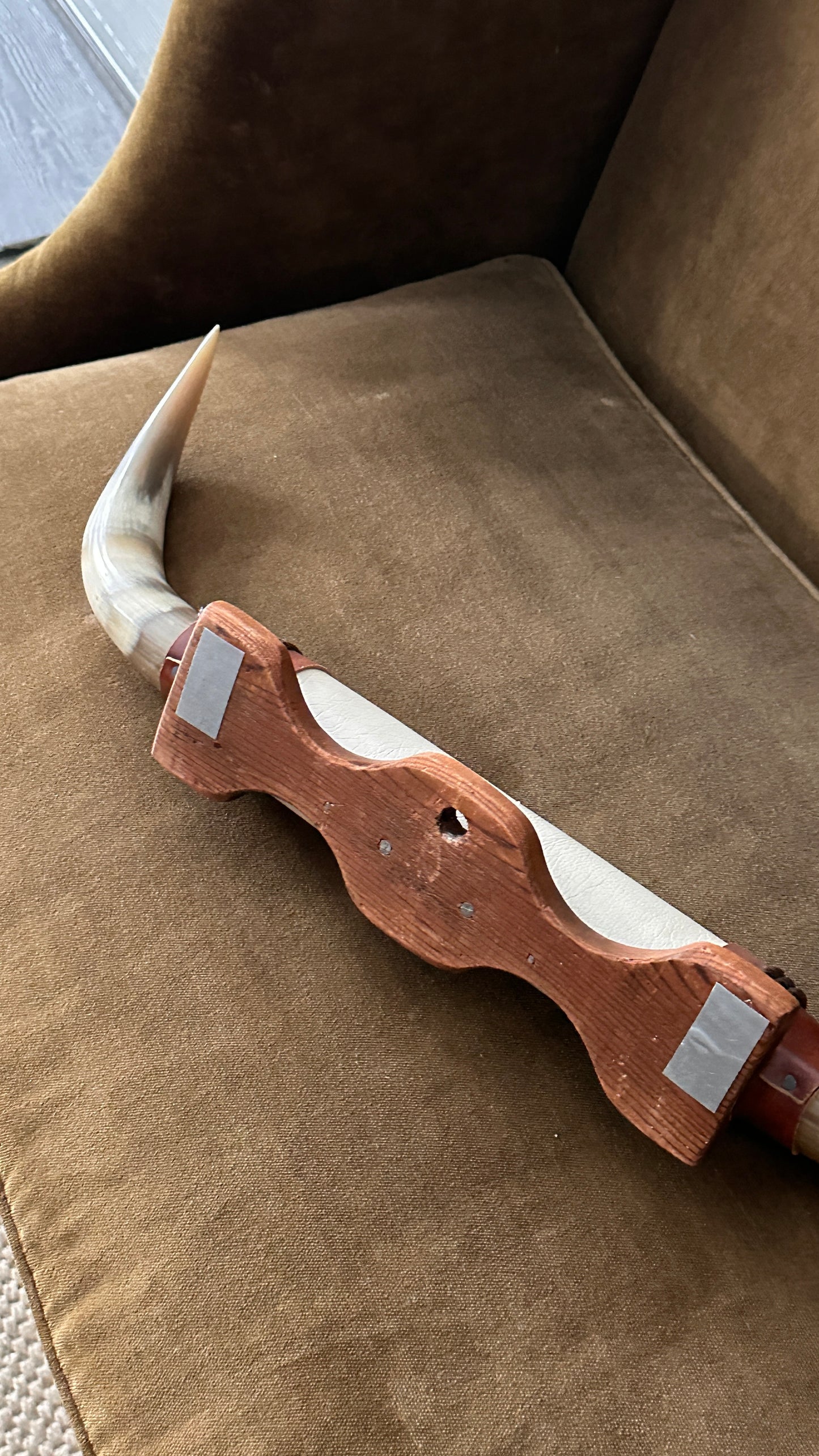 Long Horn Steer Horns