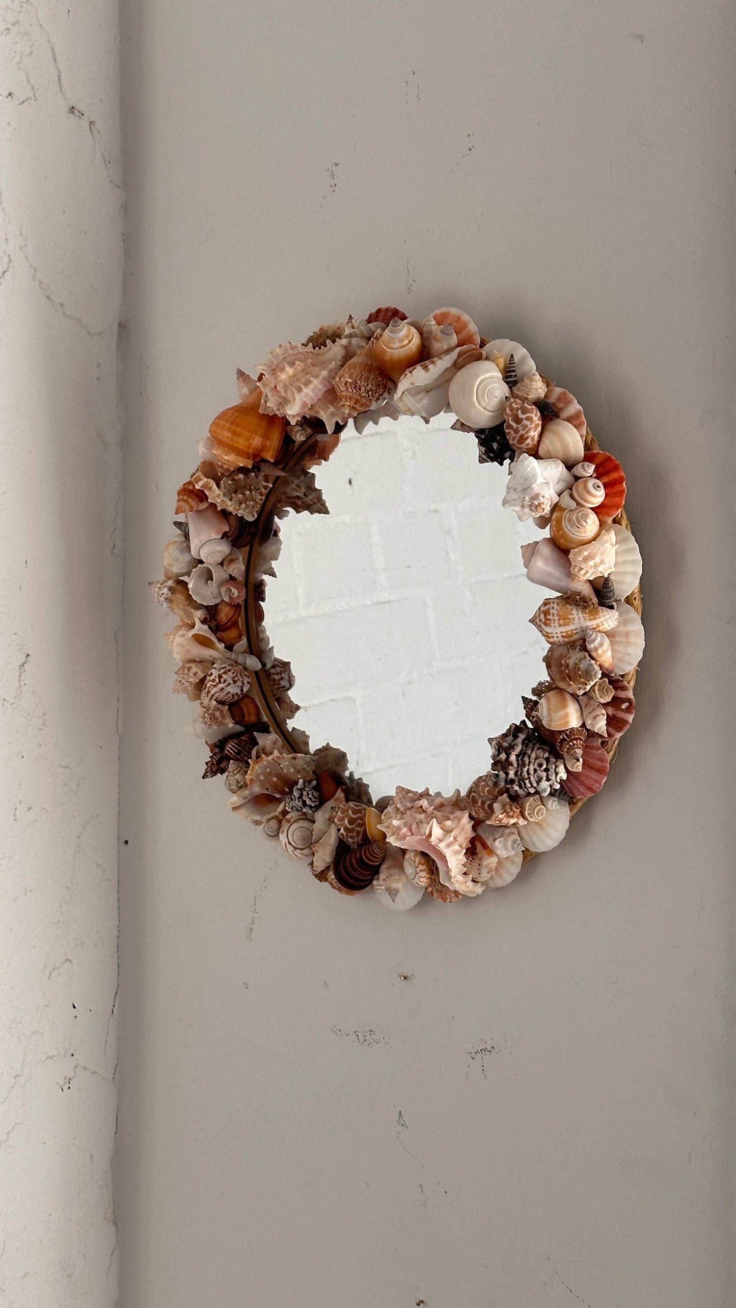 Round Shell Mirror