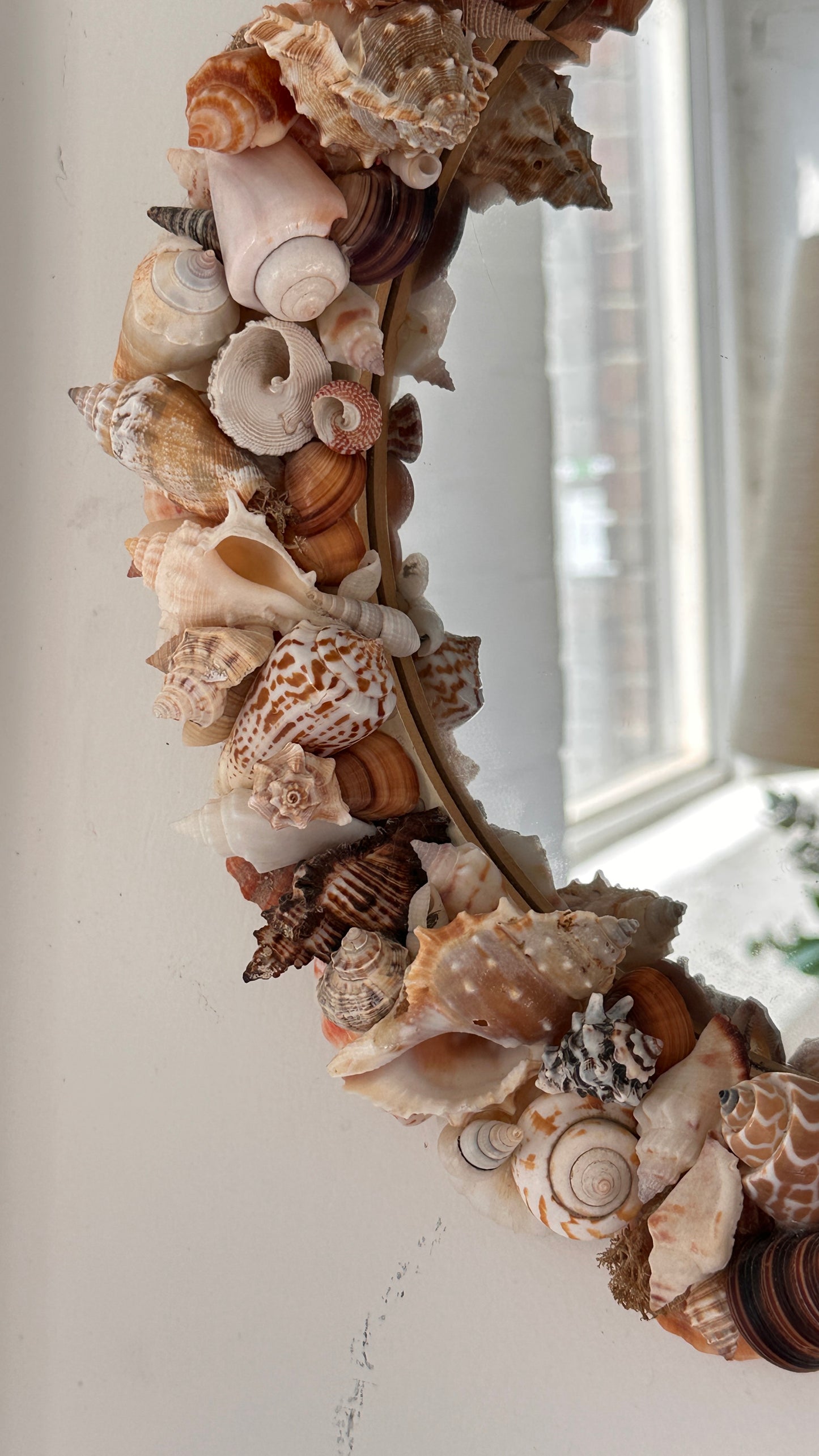 Round Shell Mirror