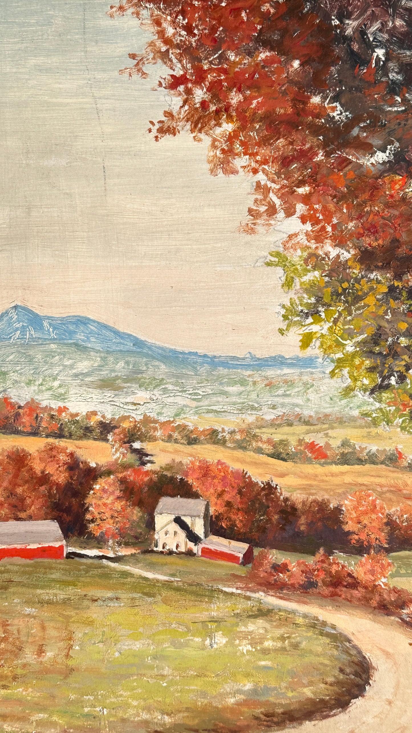 Framed Painting of Country Side