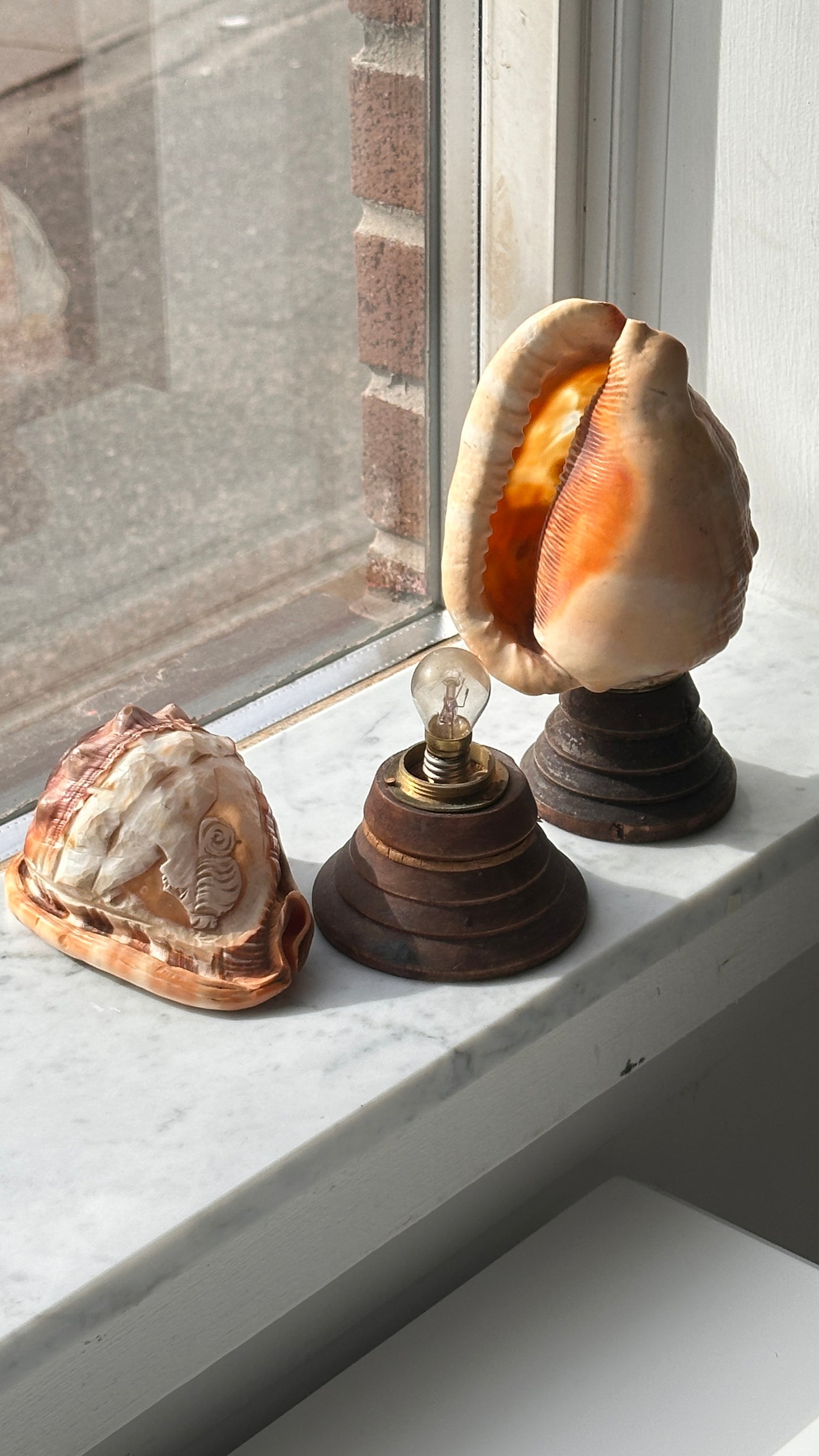 Pair of Vintage Italian Cameo Carved Conch Shell Lamps