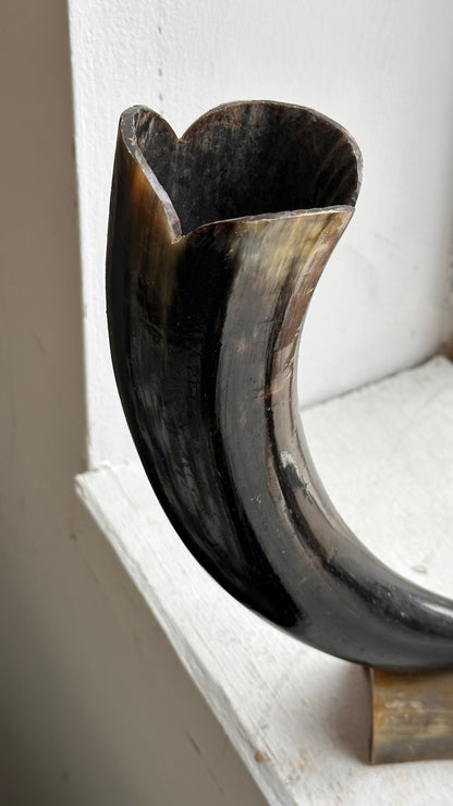 Vintage Horn Sculpture / Vase