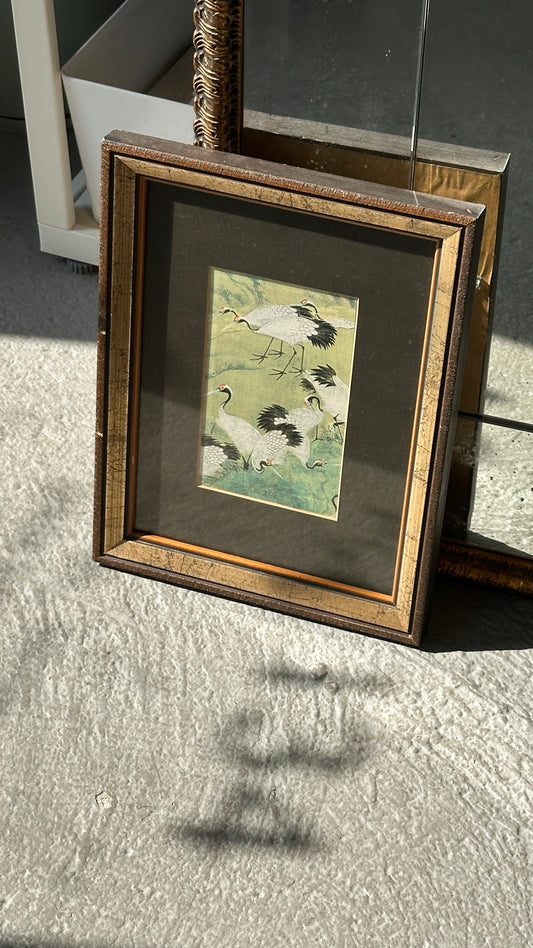 Framed Print of Cranes