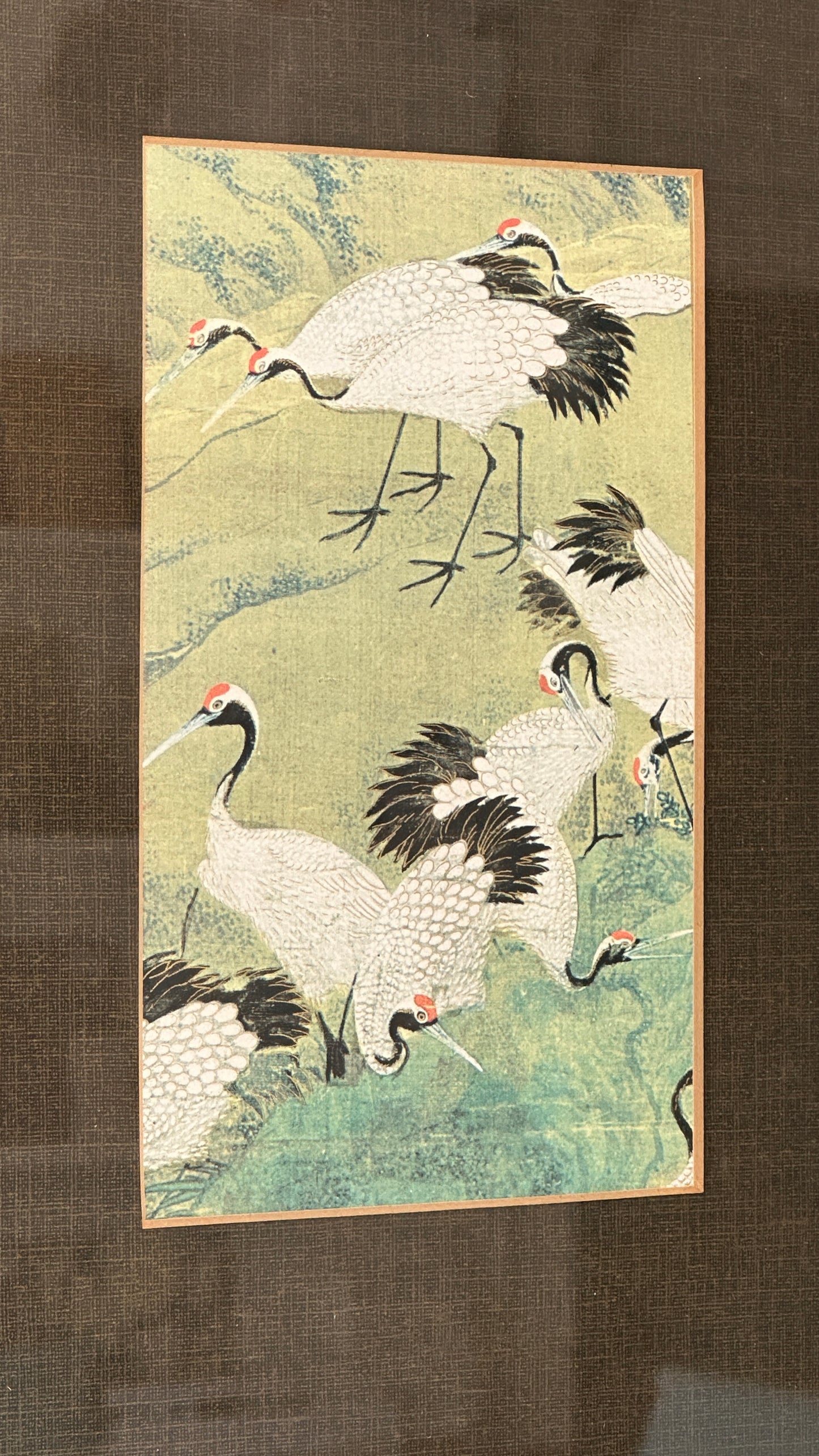 Framed Print of Cranes