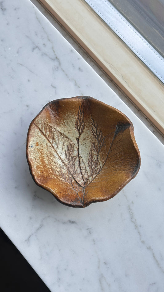 Israel Pottery Bowl / Wall Plate