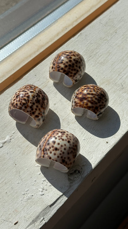 Set of 4 Tiger Cowrie Shell Napkin Rings