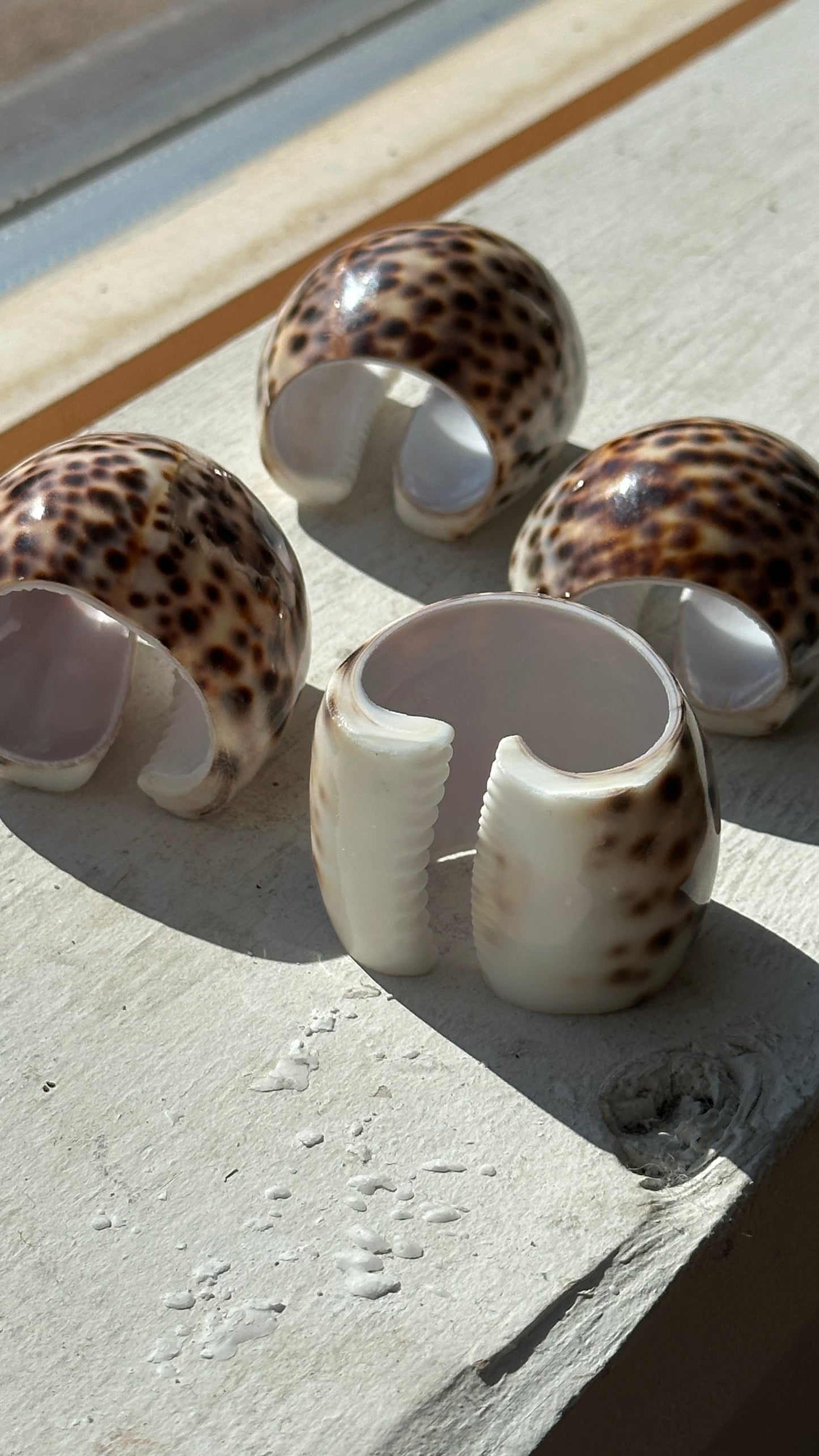 Set of 4 Tiger Cowrie Shell Napkin Rings
