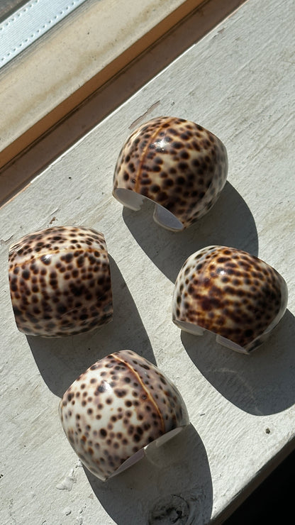 Set of 4 Tiger Cowrie Shell Napkin Rings