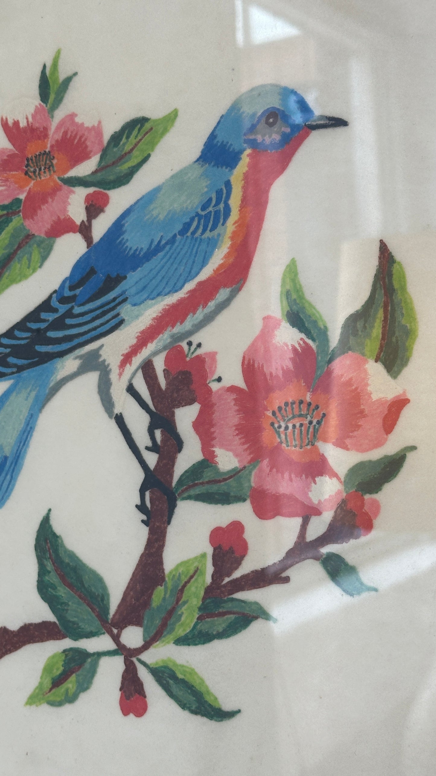 Framed Pencil Art of Bird