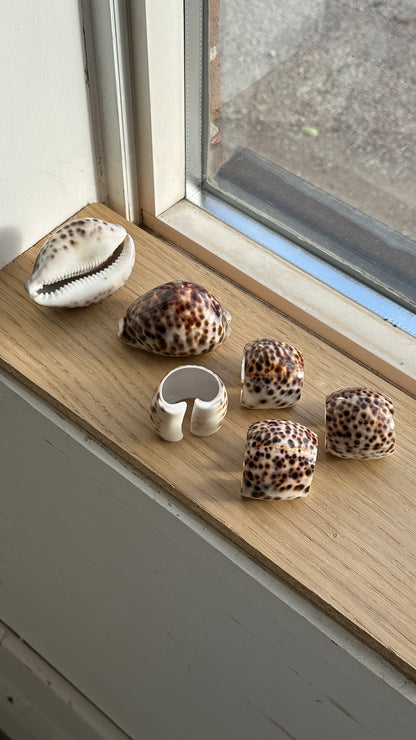 Set of 4 Tiger Cowrie Shell Napkin Rings and 2 Shells
