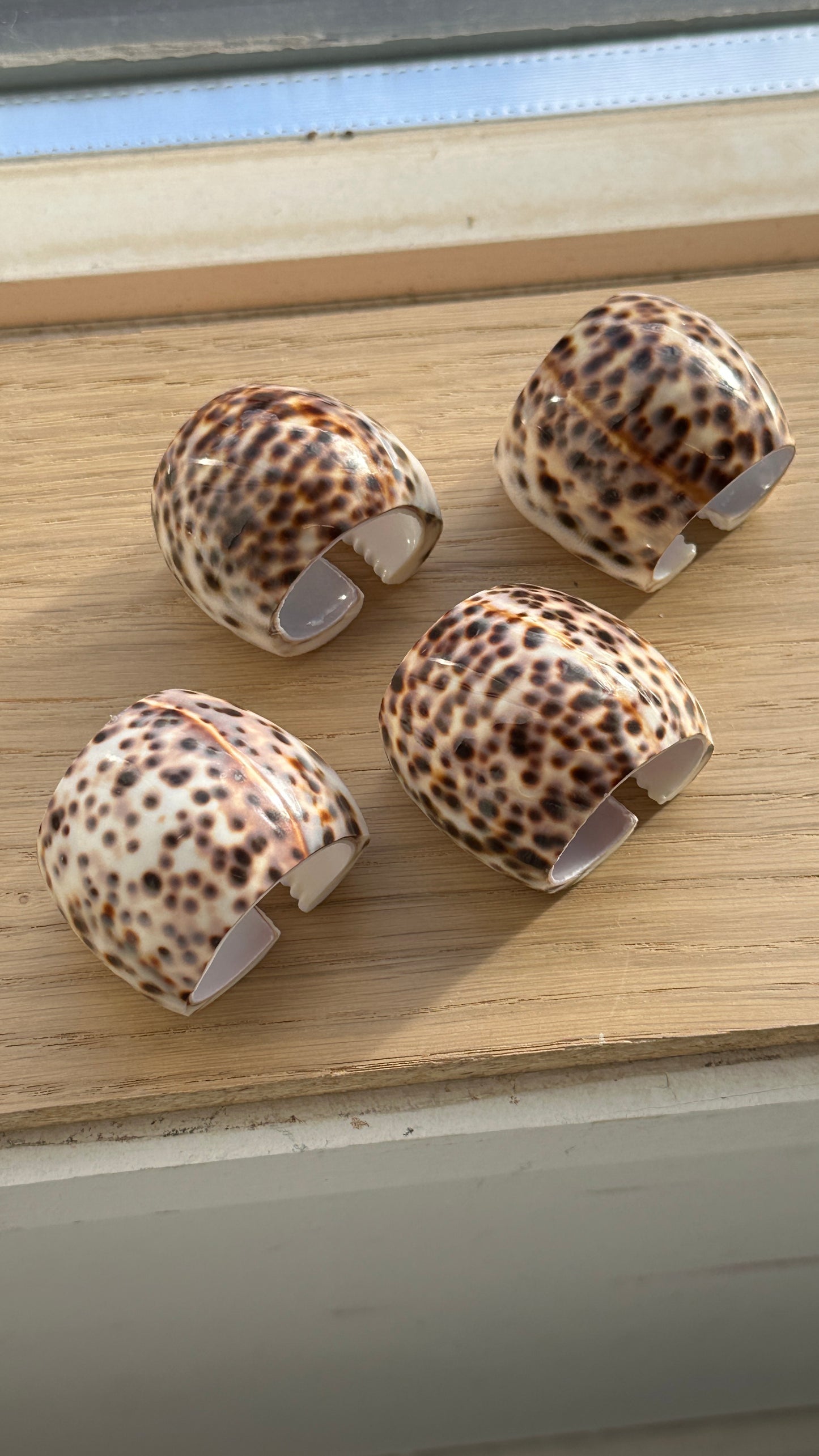 Set of 4 Tiger Cowrie Shell Napkin Rings and 2 Shells
