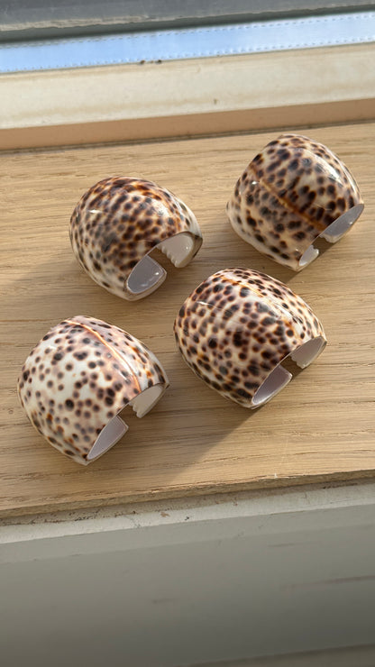Set of 4 Tiger Cowrie Shell Napkin Rings and 2 Shells