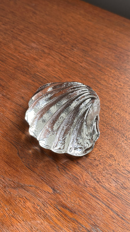 Glass Shell Paper Weight
