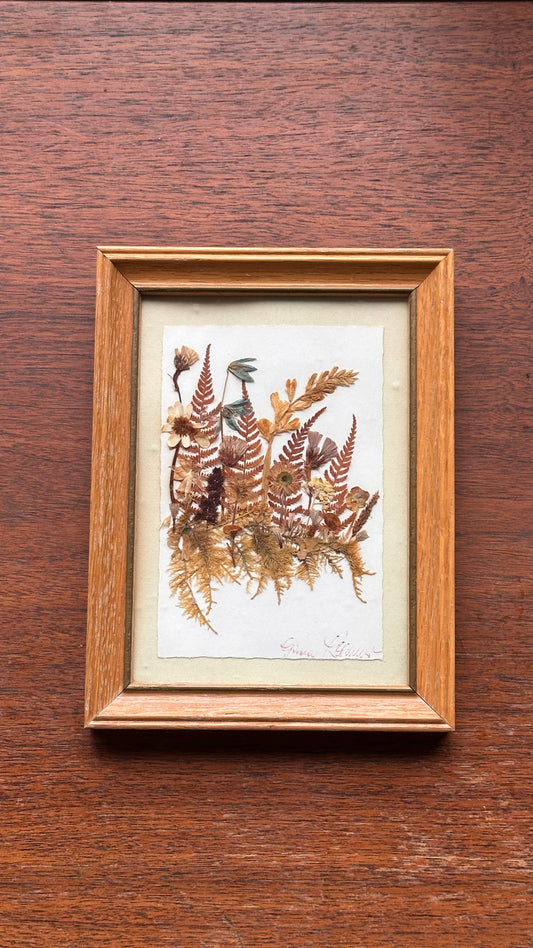 Framed Pressed Flowers
