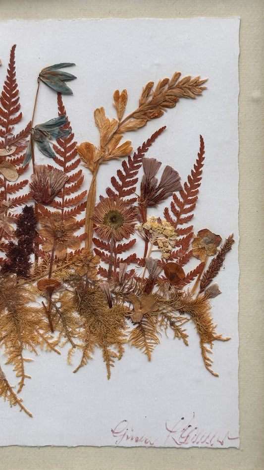 Framed Pressed Flowers