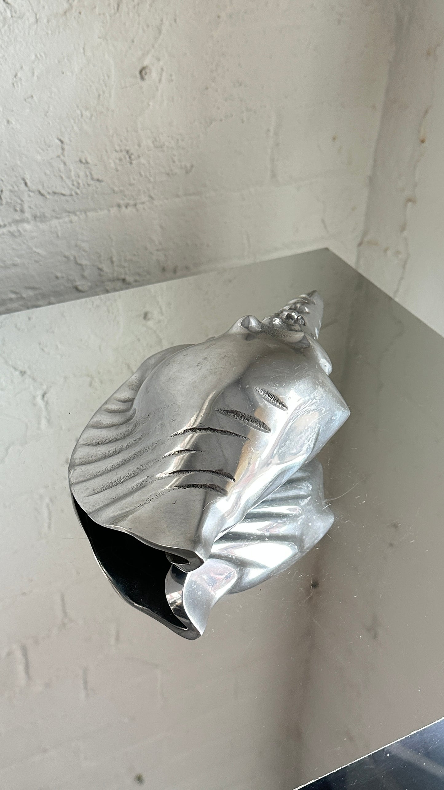 Cast Polished Aluminum Shell