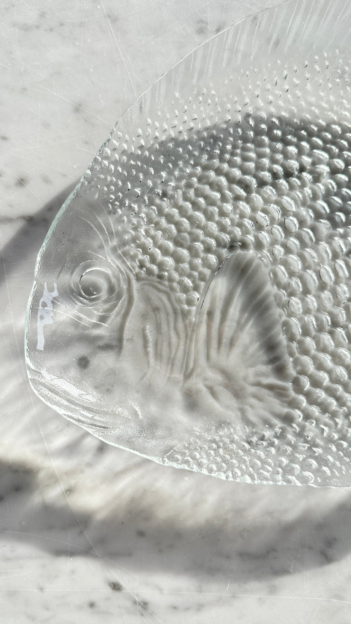 Set of 7 1970's Vintage French "Poisson" Plates and Platter