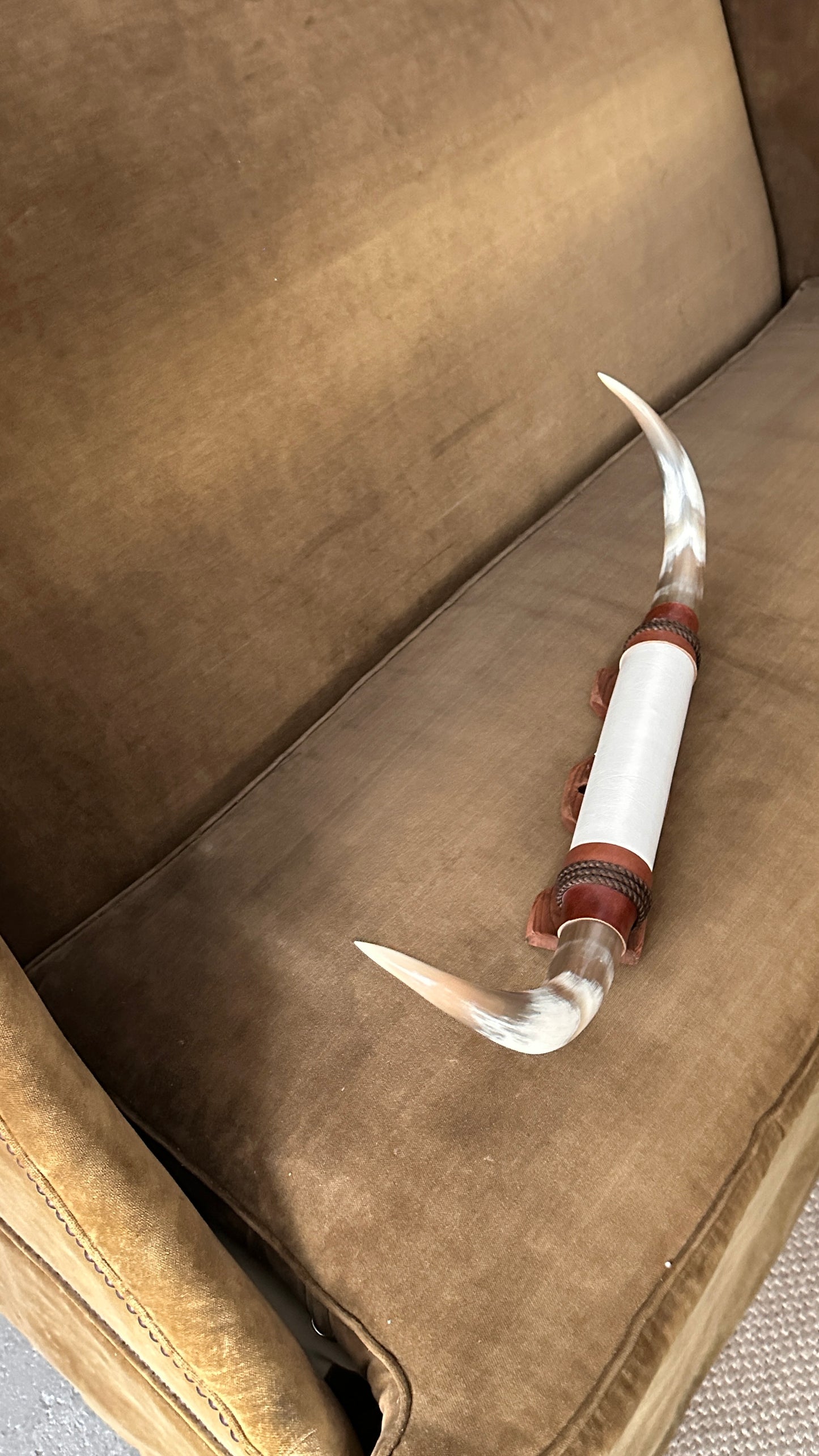Long Horn Steer Horns