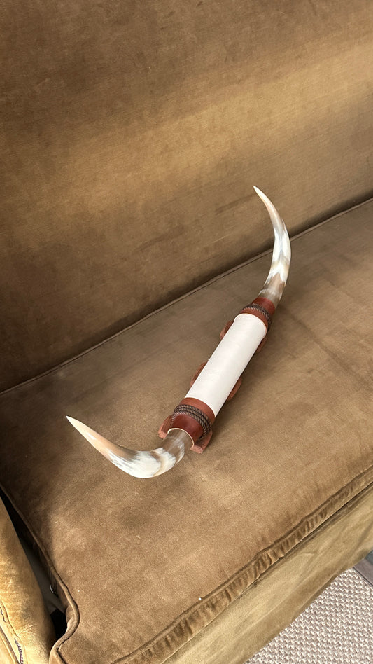 Long Horn Steer Horns