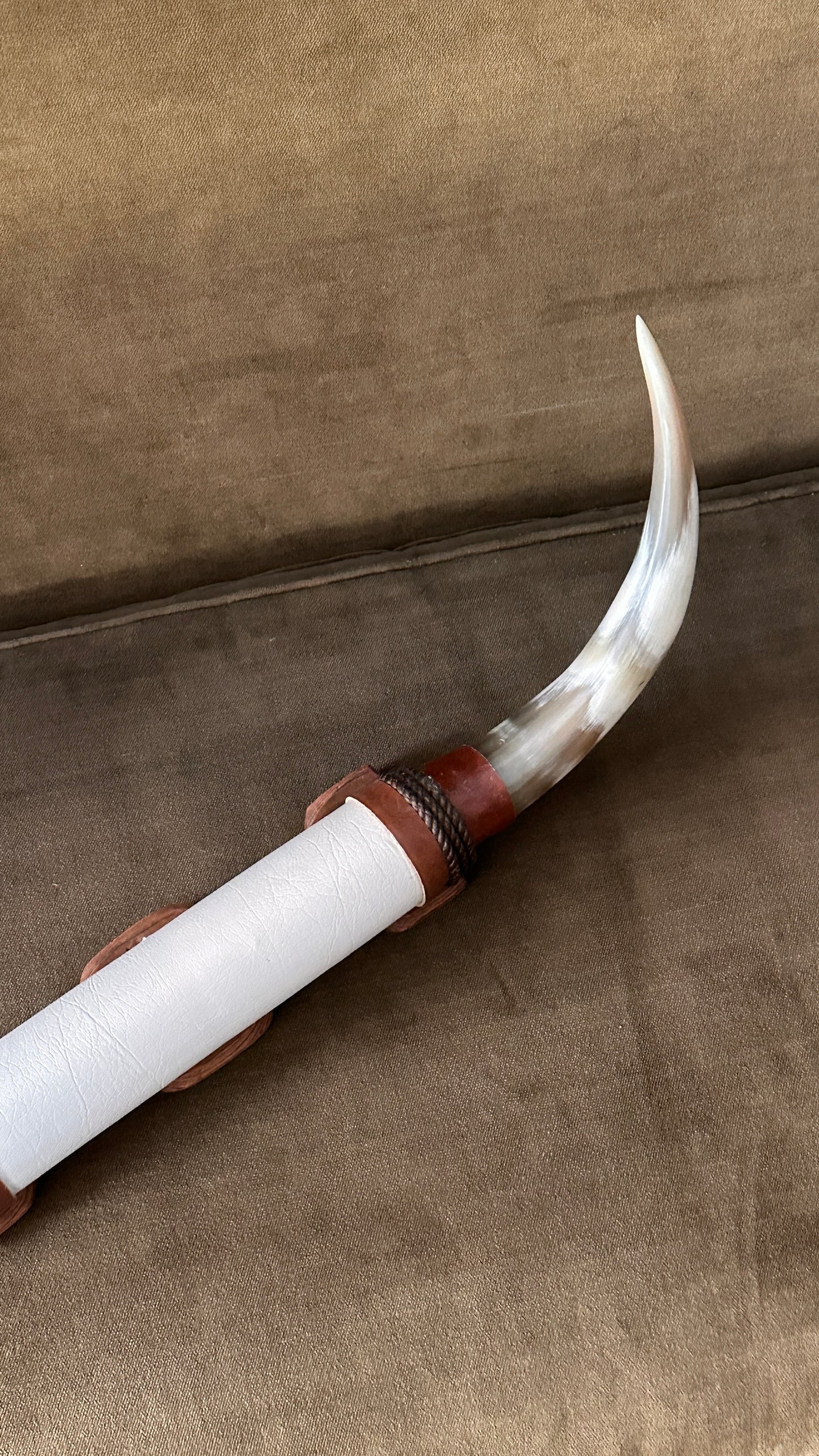 Long Horn Steer Horns