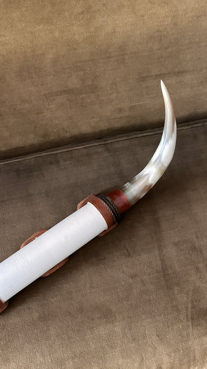 Long Horn Steer Horns