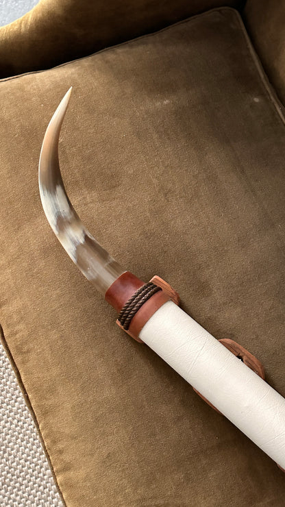 Long Horn Steer Horns