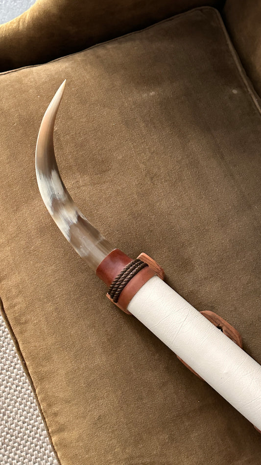 Long Horn Steer Horns