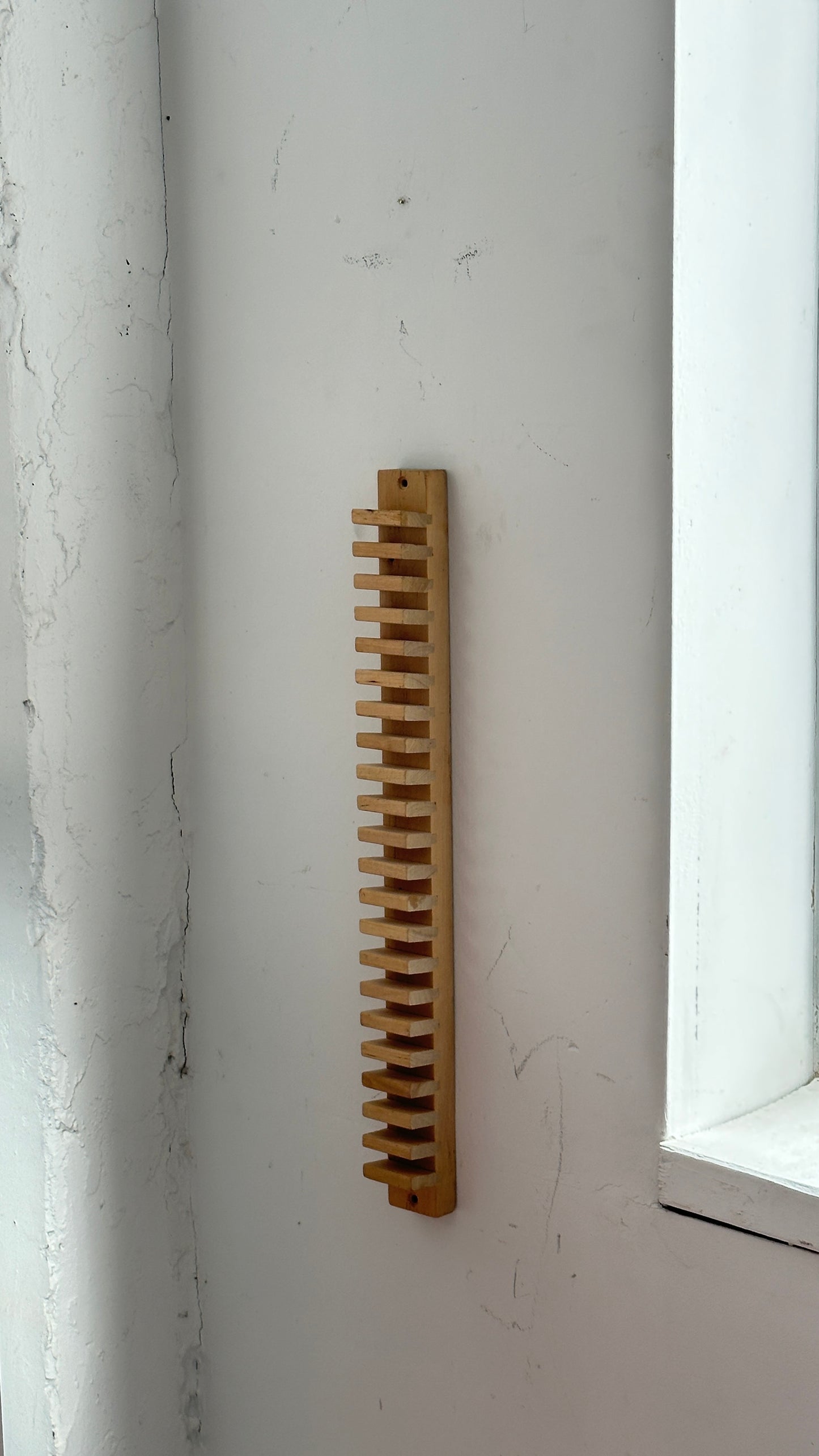 Wall Hung Wooden CD / Plate Holder