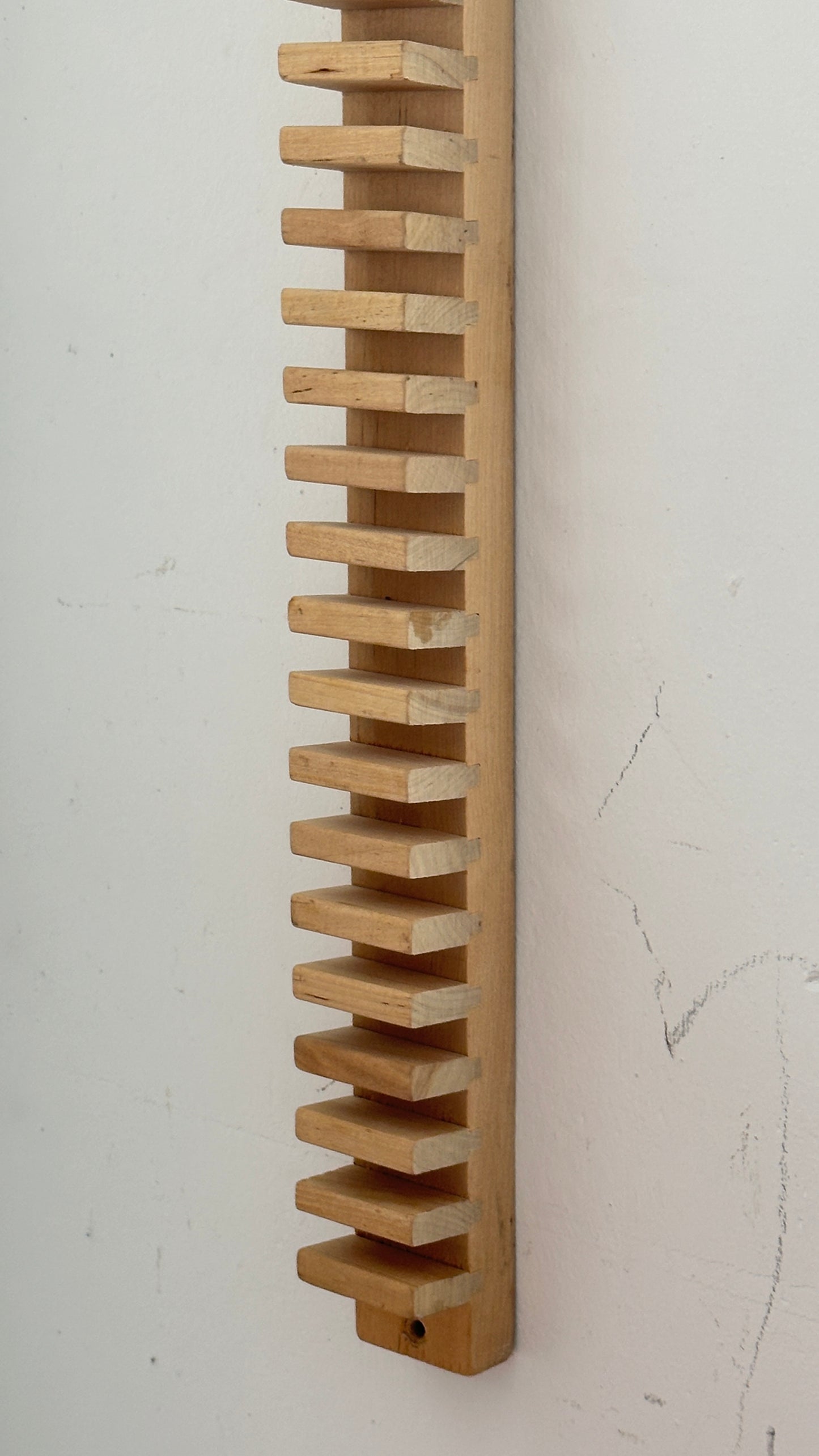 Wall Hung Wooden CD / Plate Holder