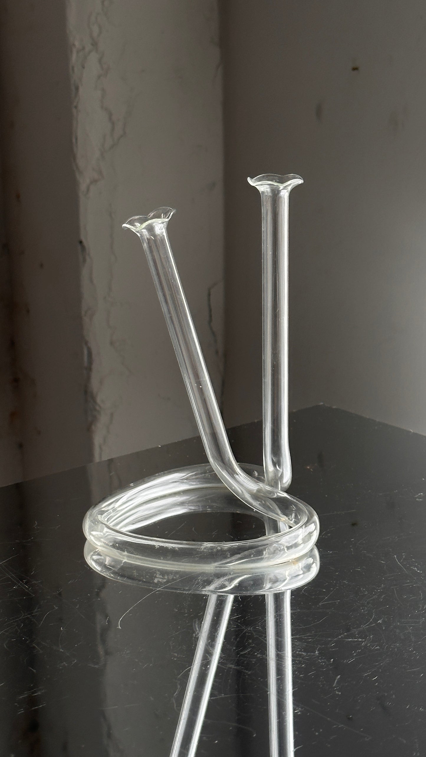 Twisted Heart Shaped Glass Bud Vase