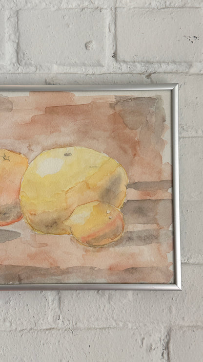 Citrus Fruit Watercolour Still Life by Emma Steele 2005