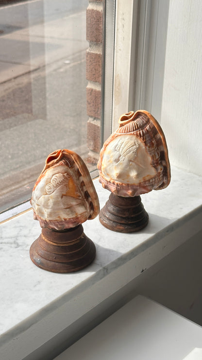 Pair of Vintage Italian Cameo Carved Conch Shell Lamps