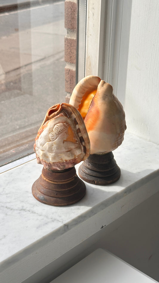 Pair of Vintage Italian Cameo Carved Conch Shell Lamps