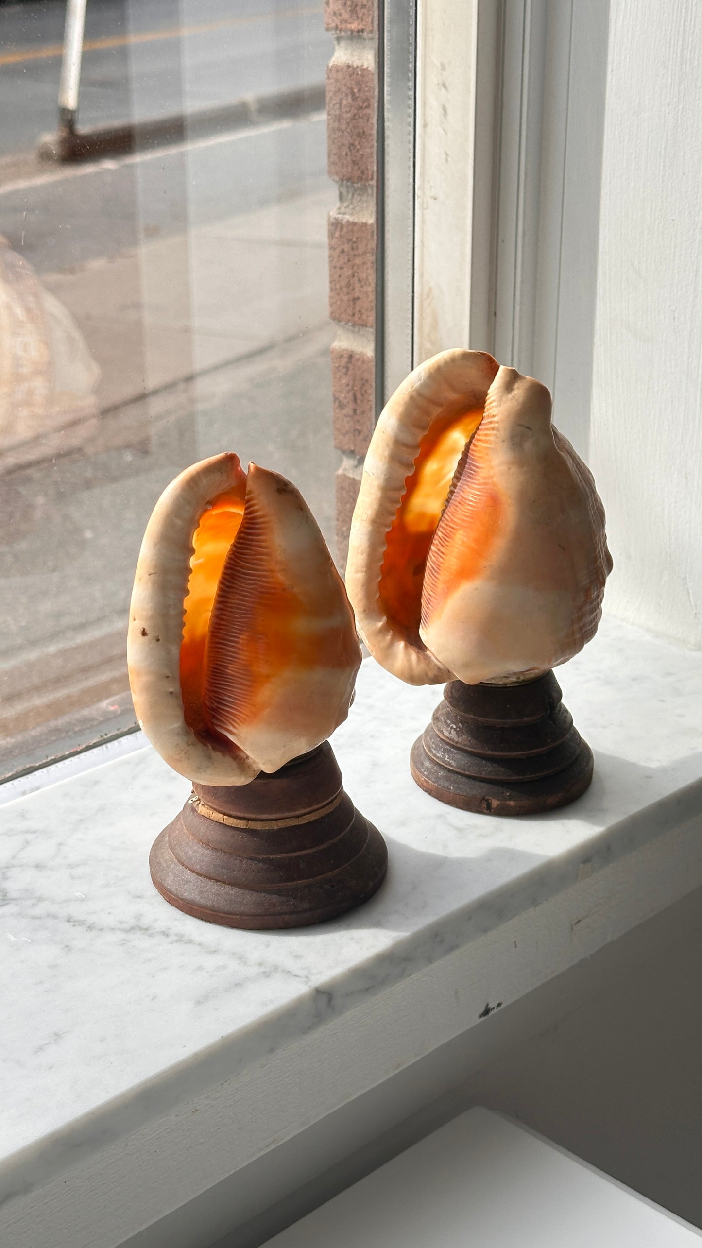 Pair of Vintage Italian Cameo Carved Conch Shell Lamps
