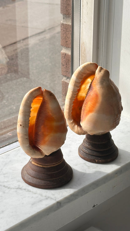 Pair of Vintage Italian Cameo Carved Conch Shell Lamps