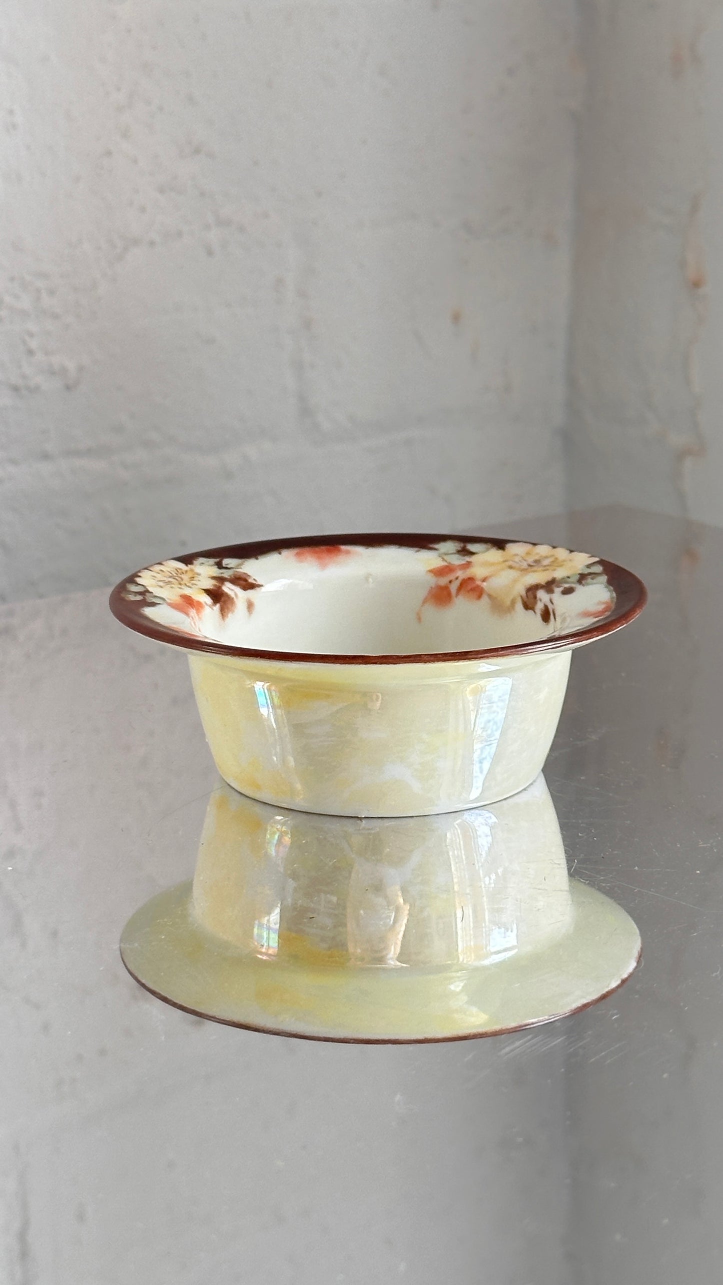 Pair of Czechoslovakian Porcelain Bowls